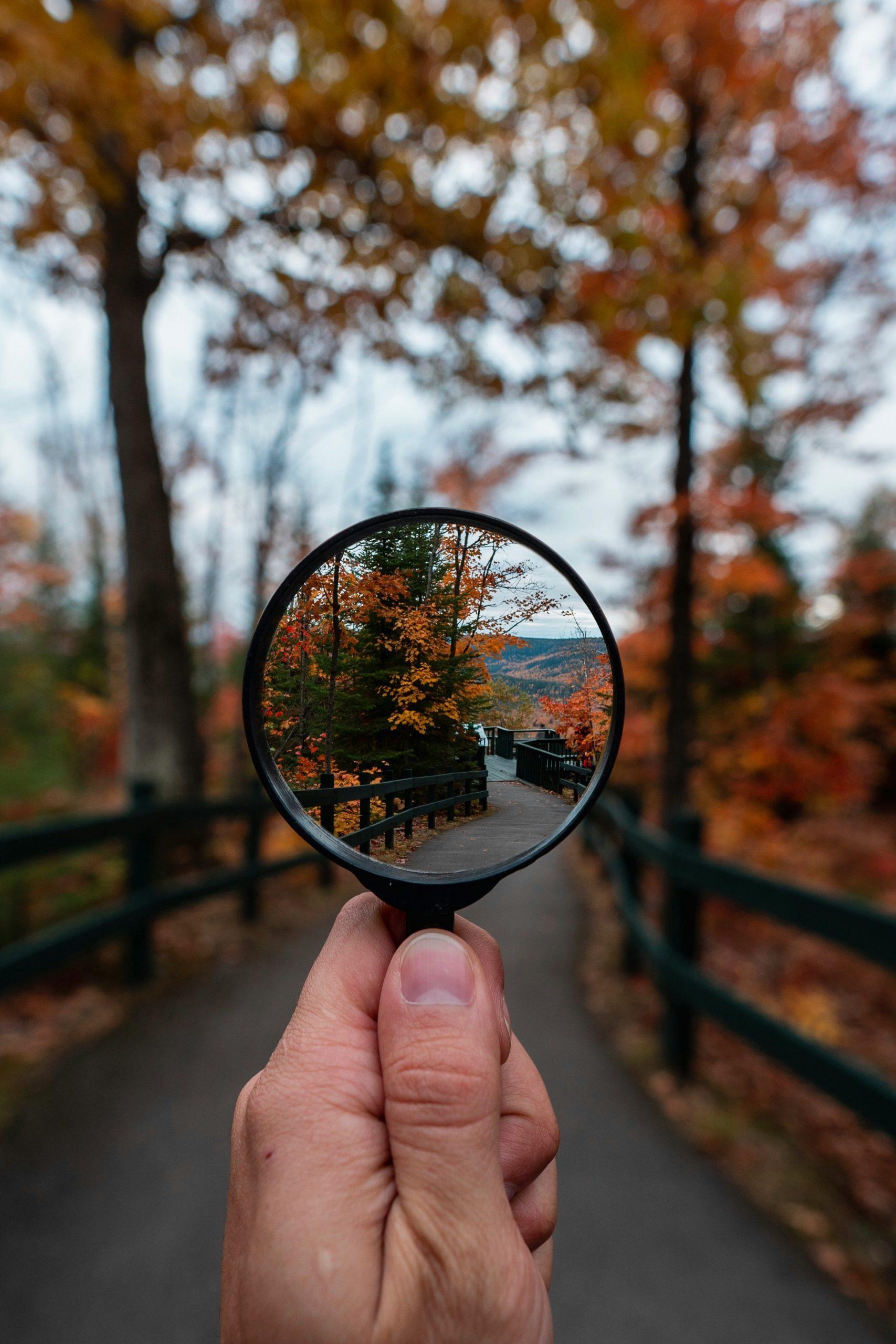 Through the Looking Glass