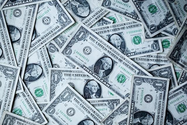 Paycheck or Purpose?