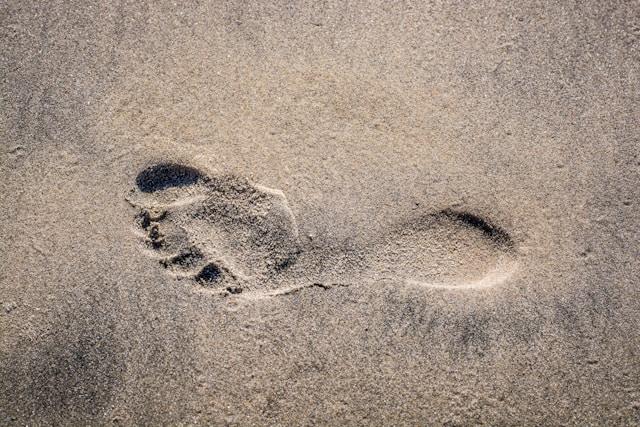 What Are You Walking On?